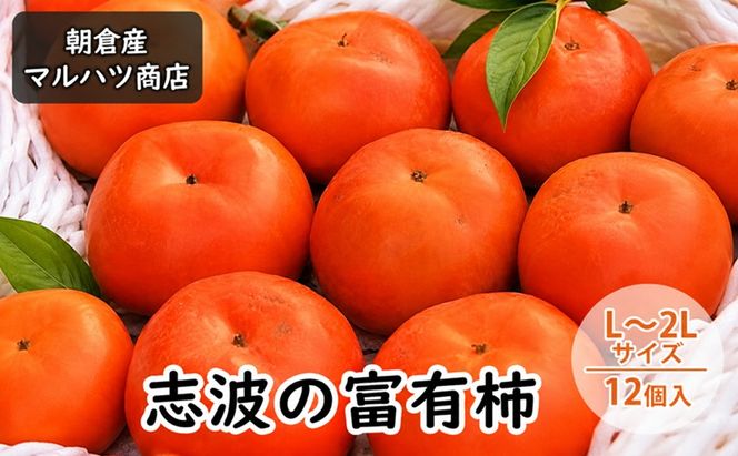 柿 志波の富有柿 L～2Lサイズ×12個入 マルハツ商店 果物類 かき 