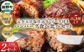 食べ比べ！完全天日塩仕込みハンバーグ3種各2個セット 田野屋青蜂 白鯆 完全天日塩 特製デミグラス 黄金しょうがソース付き 肉 お肉 おかず 惣菜 ジューシー おいしい 洋食 お取り寄せ 冷凍 配送 高知県 田野町