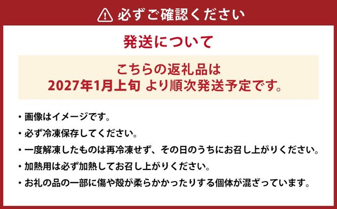 【先行予約】 加熱用冷凍車海老250g×2 えび エビ 海老 車海老 車えび 加熱用 250g 2パック 合計500g 1パックあたり7～12尾 冷凍 熊本県 上天草市 【2027年1月上旬から順次発送予定】