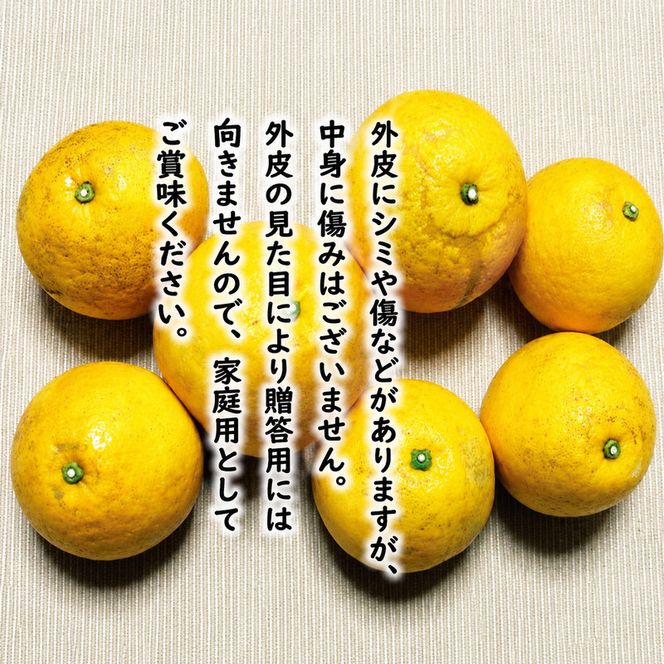 【先行予約：2027年4月上旬～発送】訳あり 河内晩柑 8kg +傷み保証1kg 8000円 みかん かわちばんかん 愛南ゴールド あいなん ゴールド 美生柑 文旦 グレープフルーツ 和製 家庭用 産地直送 国産 農家直送 期間限定 数量限定 ビタミン 特産品 ゼリー ジュース 人気 限定 さわやか 甘い フルーツ 果物 柑橘 蜜柑 規格外 愛媛県 愛南町 塚岡農園