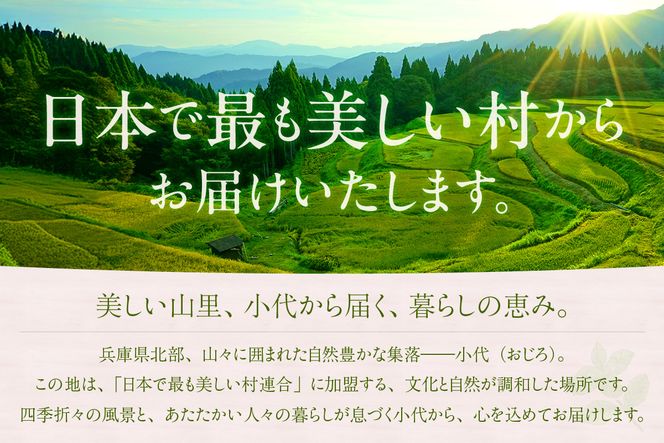 【森林浴茶 ティーパック 5種セット】ハーブティー ノンカフェイン ブレンド お茶 紅茶 国産 飲み比べ アソート 自宅用 贈答用 ギフト おすすめ 兵庫県 香美町 ANMEI / 森林浴茶 89-01