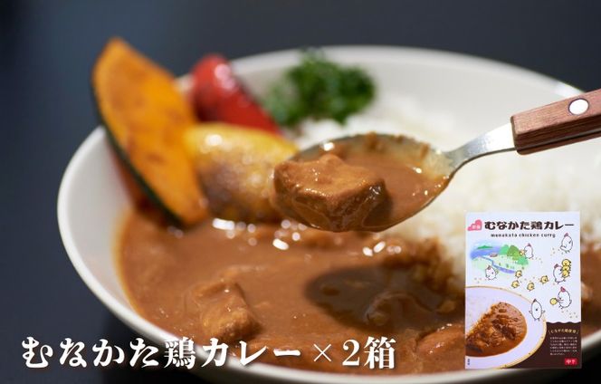 むなかた鶏　鶏づくしセット（計1.3kg）【道の駅むなかた】_HA1837