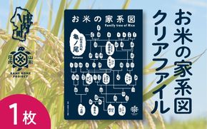 山形庄内かめこめプロジェクト お米の家系図 クリアファイル A4 1枚 オリジナル グッズ 文房具