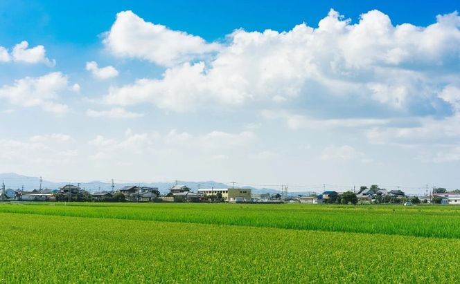 博多華味鳥 水たき 約3～4人前 鍋 水炊き