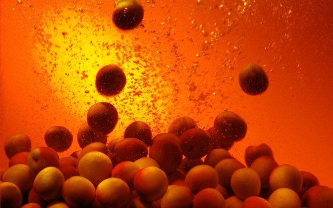 チョーヤ梅酒 さらりとした梅酒スパークリング 250ml缶×24本【9月30日受付終了】【igge0015】