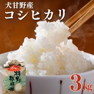 令和7年産 犬甘野産 コシヒカリ 3kg 京都丹波 白米 産地直送 人気