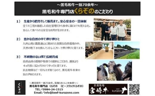 【生産直売・限定品】A4等級以上 小林市産宮崎牛赤身ブロック 400g（国産 牛肉 ブランド牛 黒毛和牛 ブロック 赤身 内閣総理大臣賞）