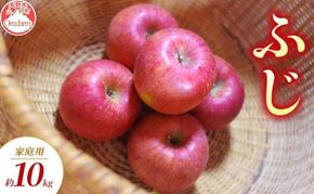 【2026年11月～発送】ふじ 家庭用 約10kg りんご リンゴ 林檎 果物 フルーツ 長野県 長野 山ノ内町