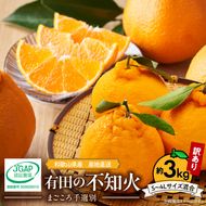 ZE6378n_有田の不知火(しらぬひ) 【訳あり　家庭用】　3kg (S～4Lサイズ混合)まごころ手選別