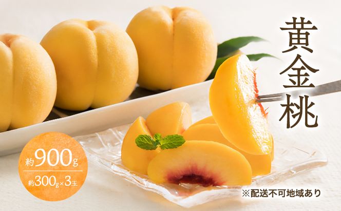 桃 2026年 先行予約 黄金桃 3玉 合計約900g （1玉約300g） もも モモ 岡山 国産 フルーツ 果物 ギフト 桃茂実苑