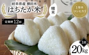 【全12回定期便】令和8年産 岐阜県産 棚田米 1等米コシヒカリ はちたか米 精米20kg（12回） F4N-3125