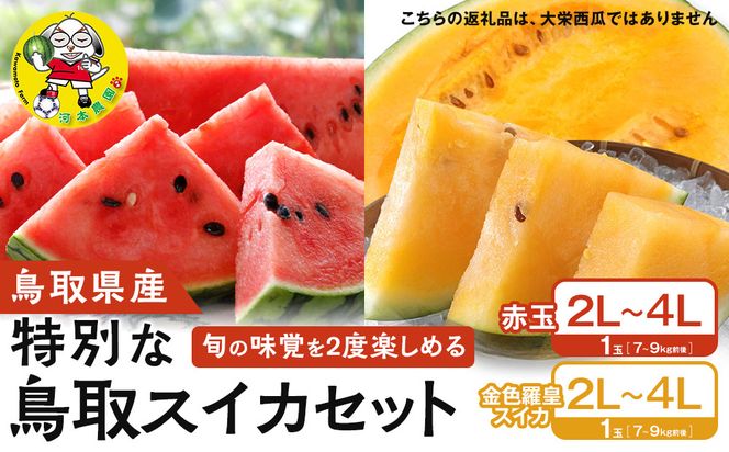 1118.旬の味覚を2度楽しめる、特別な鳥取スイカセット（こちらの返礼品は、大栄西瓜ではありません） 313726_CK004