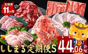 【定期便11ヶ月】ししまる定期便S(11ヶ月連続 月1～2回お届け！・計44.06kg) t0372-001