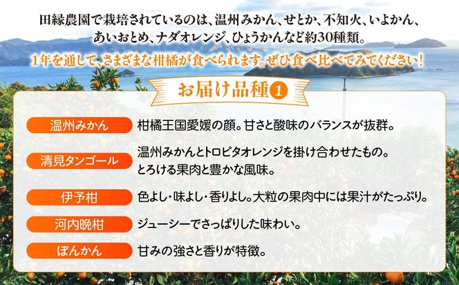 【先行受付】【数量限定】【愛媛県産】田縁農園の無添加100% ストレートジュース12種おまかせセット 720ml 全12種（2026年1月より順次発送） IKTA013