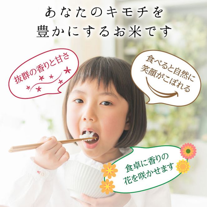 特別栽培米 コシヒカリ ヒロシノキモチ 精米 5kg ブランド米 銘柄米 国産 米 お米 日本米 ギフト 贈り物 備蓄 防災 食品 陽咲玲 はるざれ F6T-984