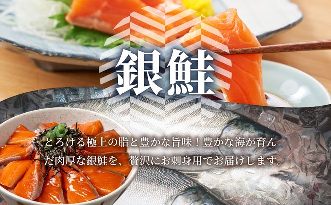 銀鮭の刺身 500g 【ru-0928】 刺身 銀鮭 シャケ サーモン 鮭 魚 魚介類 海鮮 おかず 米 簡単 便利 新鮮 北海道 登別