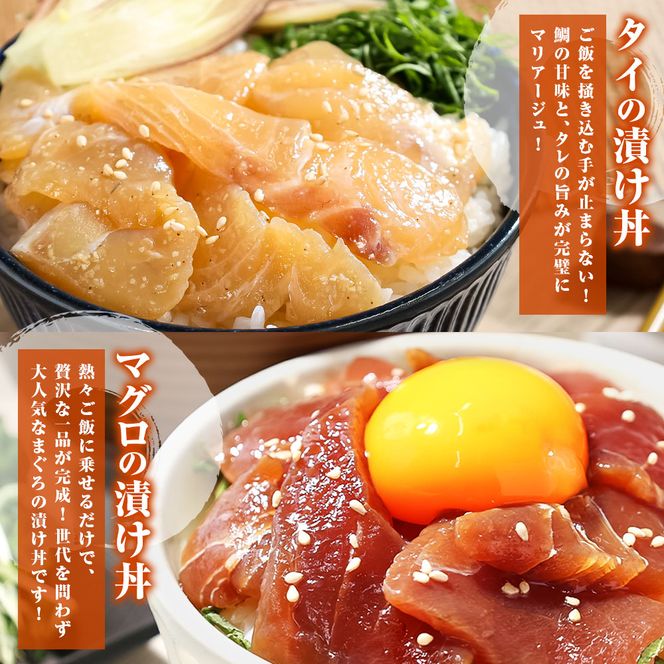 訳あり 海鮮漬け丼 5種類 各1～4P セット マグロ 鯛 イカ ブリ 鰹のたたき 漬け丼 海鮮丼 漬け づけ丼 国産 食べくらべ 漬け丼の素 海鮮丼の具 海鮮セット まぐろ いか ぶり 鯛 かつおのたたき 鰹タタキ 訳アリ 不揃い 規格外 わけあり 食べ比べ 海鮮 魚介類 水産加工品 冷凍 食品 保存食 鯛茶漬け 小分け 一人暮らし 簡単 高知 惣菜