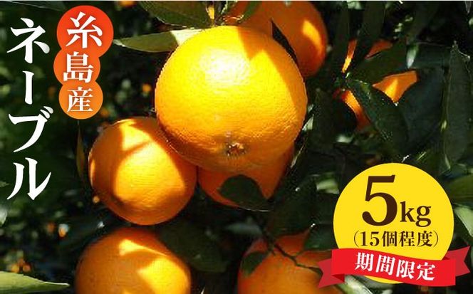【先行受付】糸島産ネーブル 5kg 【2026年2月下旬以降順次発送】　糸島市 / シーブ [AHC029] 国産 糸島 オレンジ みかん 柑橘 有機 栽培 ジュース ジャム マリネ