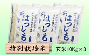特別栽培米 【 令和8年産 】 玄米 30kg【 ハツシモ 】
