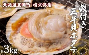 【先行予約】北海道 豊浦町 殻付き 3年貝 活ホタテ 約3kg（12～15枚）（2026年1月より順次発送） TYUP005