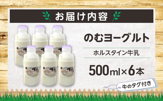 のむヨーグルト 生乳100%使用 500ml×6本 北海道産 ホルスタイン種 [i・ふぁーむ] 【 飲むヨーグルト 牧場直送 幕別 プレーン 濃厚 牛 朝食 】