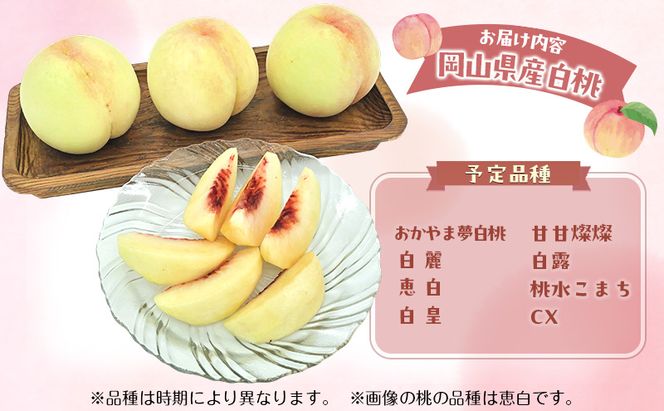 桃 2026年 数量限定 岡山の白桃 『8・9月の旬な桃』 6-8玉 計2.0kg以上 糖度12度以上