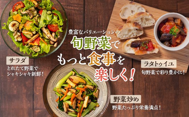 とれたて 野菜 パック 定期便 3回 季節の野菜 セット 詰め合わせ 8品前後 野菜セット 野菜詰め合わせ 3ヶ月 ジャガイモ 人参 大根 小松菜 白ネギ グリーンリーフ チンゲン菜 椎茸 トマト 水菜 葉ネギ 人気 厳選 静岡県