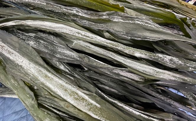 北海道 礼文町 棹前 昆布 100g×3パック 昆布 煮昆布 こんぶ 乾物