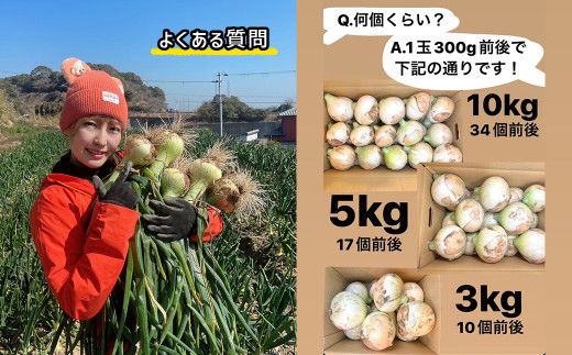 淡路島産ブランド新玉ねぎ 極早生 「にじたま」  10kgダンボール入り【発送時期2026年2月中旬～4月頃】
