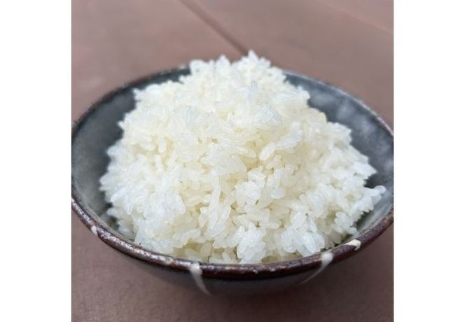 【令和7年産】訳あり コシヒカリ 中米 精米 10kg【茨城県共通返礼品　美浦村産】｜ 規格外 こしひかり 白米 ※離島への配送不可