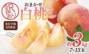FYN9-731 ≪2026年先行予約≫ ご家庭用 8月発送 山形県産 品種おまかせ 白桃 約3kg(7～13玉) 2026年8月上旬から順次発送 はくとう 桃 もも モモ 果物 くだもの 夏果実 フルーツ 訳あり 農業者支援 家庭用 自宅用 産地直送 山形県 西川町 月山