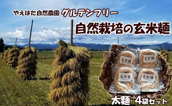 自然栽培の玄米麺　太麺4袋セット 【2422】