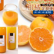【定期便】厳選 柑橘定期便 S 3回（7～9月）※北海道・沖縄・離島への配送不可※7月・8月・9月に発送