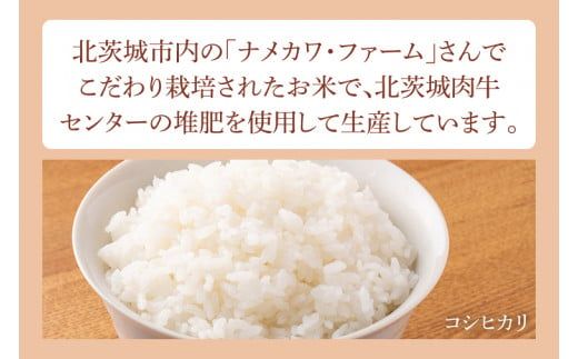 BX002　雨情の里牛ハンバーグ・うしごはんの具・コシヒカリのセット