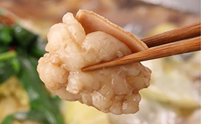 もつ鍋セット(醤油/4-5人前)《築上町》【吉浦コーポレーション】 もつ鍋 博多もつ鍋 醤油 国産牛[ABFF022]