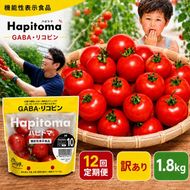【12ヶ月定期便】機能性表示食品 Hapitoma ハピトマ 訳あり（1.8kg）【配送不可：北海道・沖縄・離島】健康 ヘルシー 人気 厳選  野菜 緑黄色野菜 産地直送 ダブル成分 GABA リコピン トマト 国産 静岡県産 袋井市産 食材 