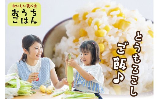 【先行予約】 生食も！高糖度！もぎたて！ フルーツトウモロコシ「イエローコーン」（2026年6月下旬～発送）　DE00135