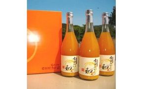 有田みかんの和α（なごみアルファ）720ml×3本/生搾り みかん みかんジュース 有田みかん 【kjk110】