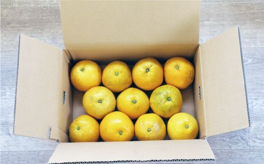 訳あり 河内晩柑 3.5kg 5000円 （発送期間: 4月中旬～8月下旬） みかん かわちばんかん 愛南ゴールド 美生柑 文旦 グレープフルーツ 和製 家庭用  産地直送 国産 農家直送 お試し 少量 試供品 糖度 果樹園 期間限定 数量限定 特産品 ゼリー ジュース 人気 限定 さわやか 甘い おいしい フルーツ 果物 柑橘 蜜柑 規格外 愛媛県 愛南町 マルハラファーム