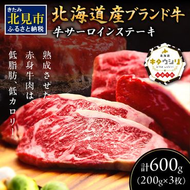 キタウシリ 牛サーロインステーキ 200g×3枚 ( 牛肉 サーロインステーキ 肉 ステーキ 赤身肉 ニク にく 北海道 国産牛 北見市 ブランド牛 赤身 ヘルシー 数量限定 )【173-0001】