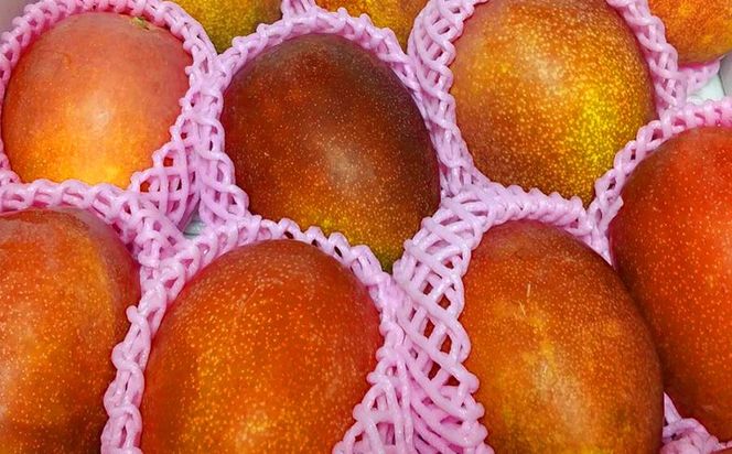 yꌧXzy2026NzXY A[EB}S[@ƒp1.5Lȏ t[c ʕ  ʎ  X Hו Y 썑 Y Yn ƒp ܂񂲁[ gsJ  Ö XC[c  fU[g }S[