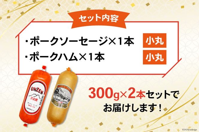 CI241 雲仙ハム ソーセージ ハム 各1本 計2本 各300g [ ボロニアソーセージ ポークハム ウインナー ウィンナー 小分け 便利 国産 豚肉 人気 おつまみ 肉 おかず 長崎県 島原市 ]