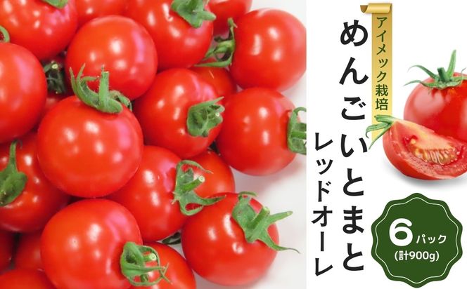 めんごいとまと TYレッドオーレ 150g×6パック ( 計900g )  4月発送 めんごいとまとたむら アイメック栽培 ミニトマト トマト プチトマト 冬トマト 野菜 農家直送 ギフト プレゼント 新鮮 福島県 田村市 堀越農園　N057-002