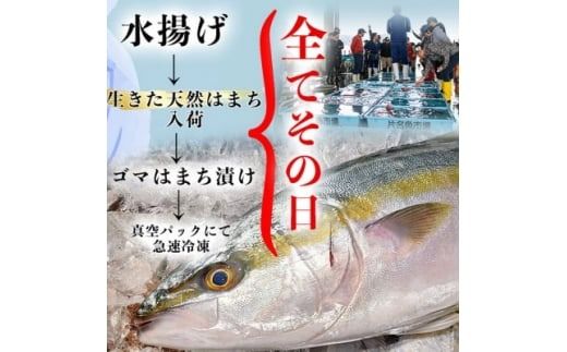 岬だよりの＜調理不要＞天然 はまちのごま漬け　6袋セット