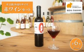 【訳あり】赤ワイン6本セット(375ml×6) 辛口 ハーフボトル ギフト 母の日 父の日 プレゼント 酒 クラフト K2708