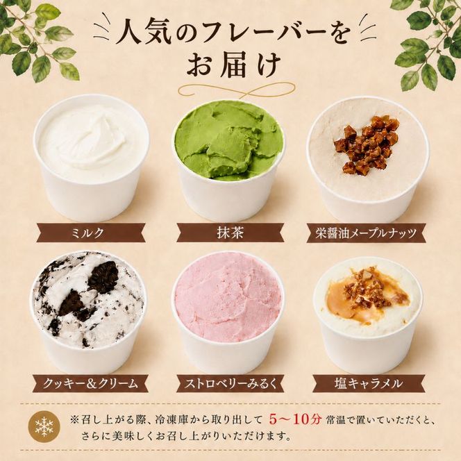 ジェラート Migelaの人気ジェラート6個食べ比べセット(1)【配送不可エリア:沖縄県,離島】 食べ比べ  Migela 袋井市