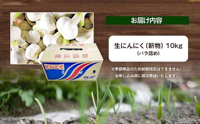 生にんにく（新物）約10kg 野菜 野菜セット ニンニク 