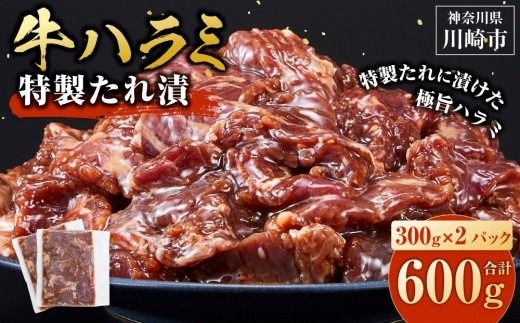 牛ハラミ タレ漬け 600g ( 300g × 2 ) お肉柔らか＆タレ美味しい 小分け 使いやすい ハラミ 牛肉 焼肉 バーベキュー 冷凍 味付き 配送時期が選べる 個包装 調理簡単 便利 アウトドア キャンプ 人気 おすすめ