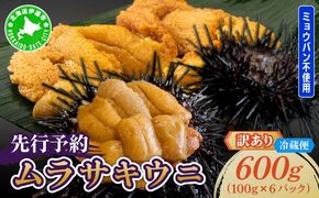 ＜先行予約＞ 北海道産 ムラサキウニ（訳あり）600g【ogm-044】生うに 塩水うに ミョウバン不使用 海鮮 訳あり 国産 北海道 伊達 ふるさと納税