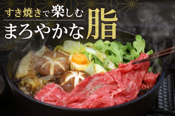 【但馬牛 経産牛 スライス すき焼き 500g】冷凍 配送日指定不可 黒毛和牛 ルーツ 但馬牛 神戸牛 仙台牛 飛騨牛 ルーツ牛 牛肉 ステーキ しゃぶしゃぶ すき焼き 焼肉 産地直送 大人気 ふるさと納税 返礼品 おすすめ ランキング 但馬 神戸 兵庫県 香美町 村岡 牛将 村岡ファームガーデン 18000円 TJM 02-01